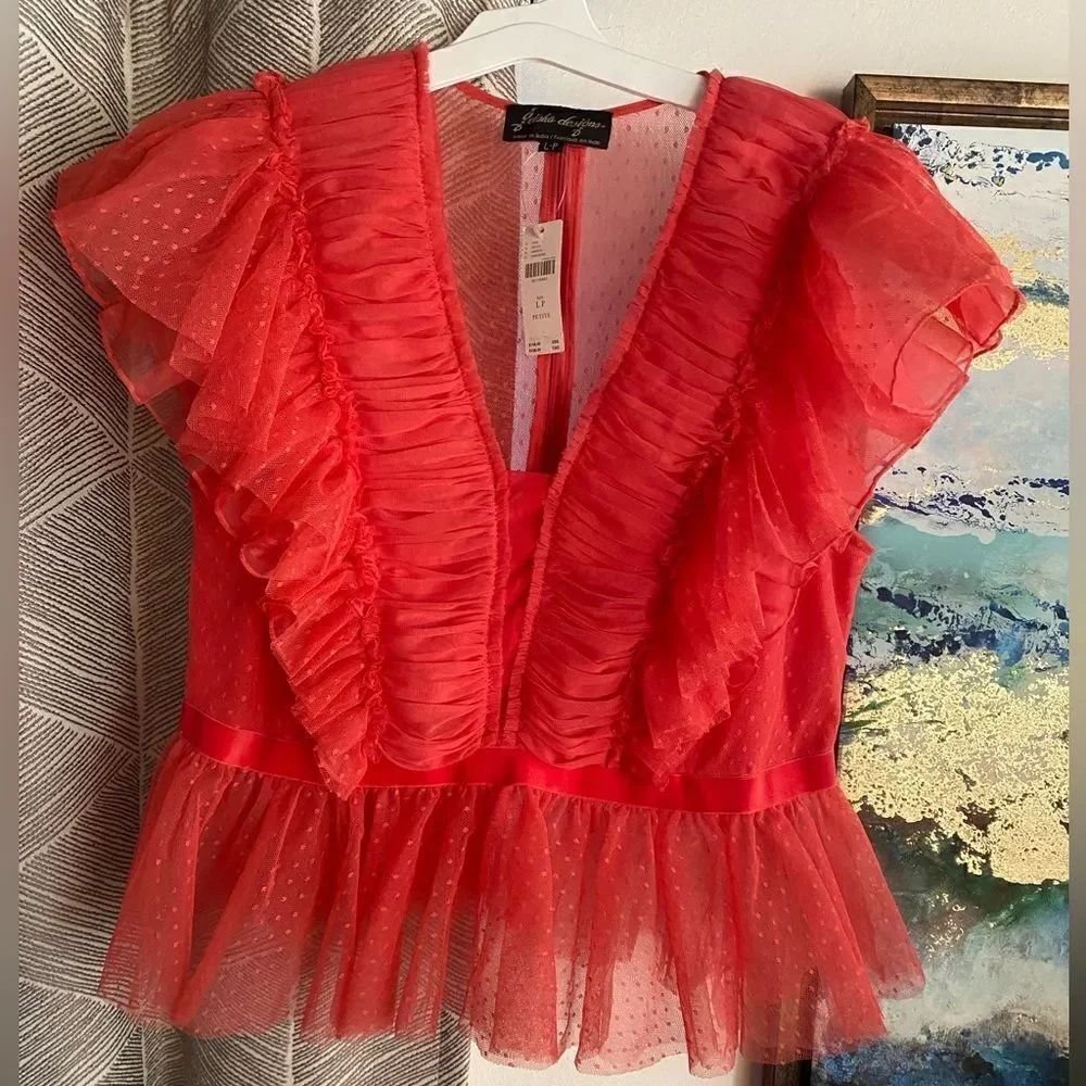 Anthropologie Geisha Designs Top Sz L P Coral V Neck Ruffle Tulle Peplum Hem